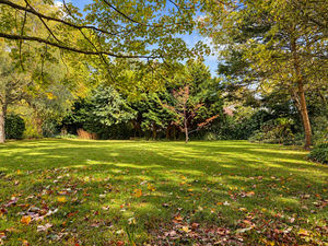 Photo 6- click for photo gallery